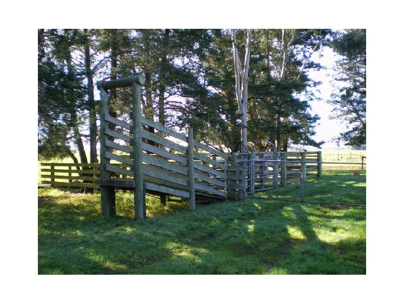 549 Nambrok Hall Road, Nambrok VIC 3847
