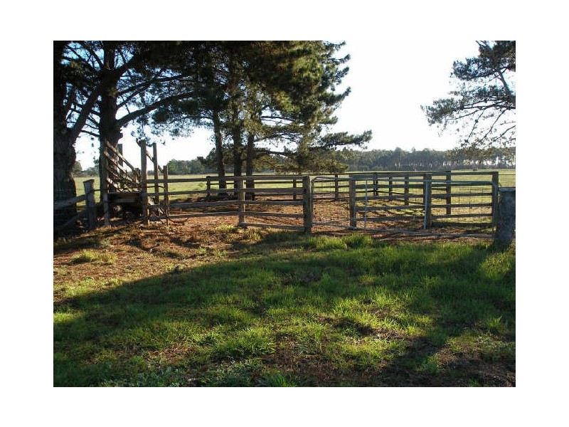 Dowds Road, Longford VIC 3851