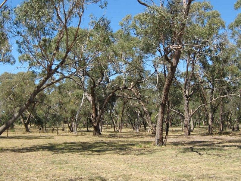 100 Abels Road, Longford VIC 3851