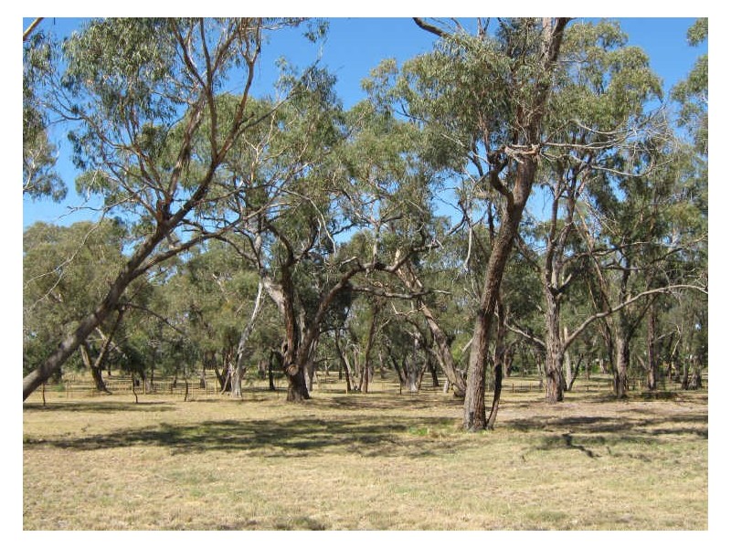 Lot 4 Abels Road, Longford VIC 3851