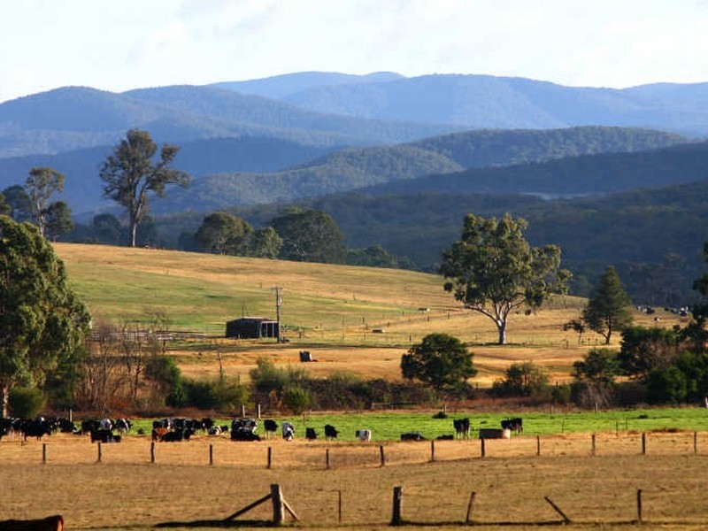 257 Moroka Road, Valencia Creek VIC 3860