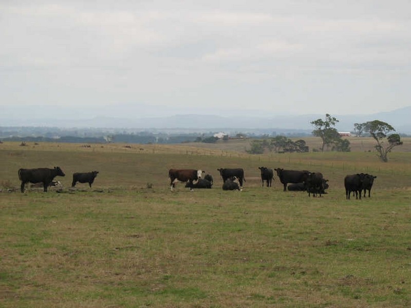 Redbank Road, Stratford VIC 3862