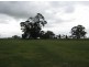 Giffard Road, Stradbroke VIC 3851