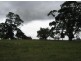 Giffard Road, Stradbroke VIC 3851