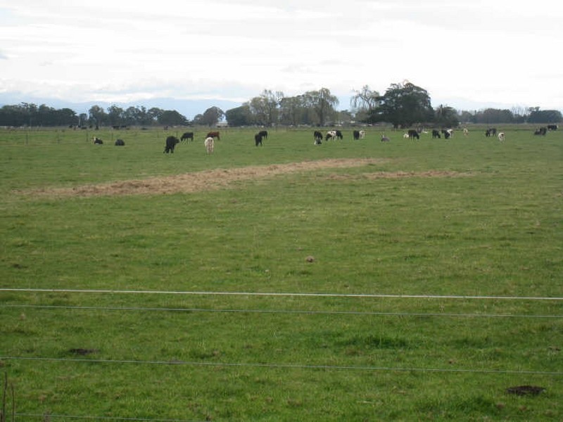 384 Myrtlebank Road, Myrtlebank VIC 3851