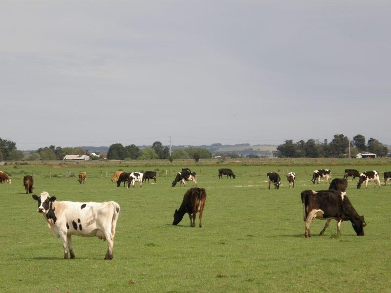 Somerton Park Road, Sale VIC 3850