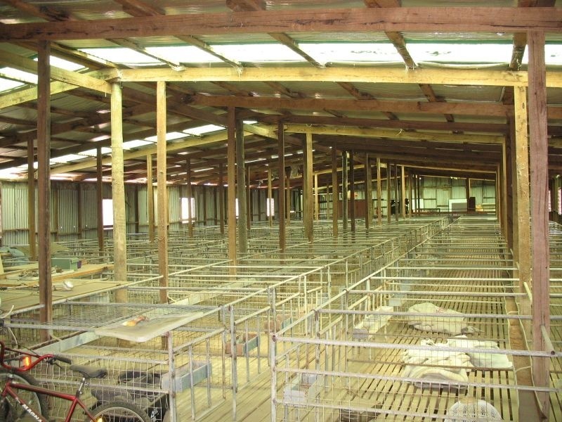 120 Cochranes Road, Seaspray VIC 3851