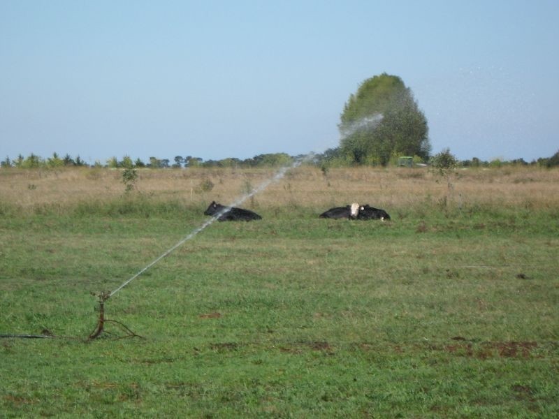 729B Maffra Sale Road, Bundalaguah VIC 3851