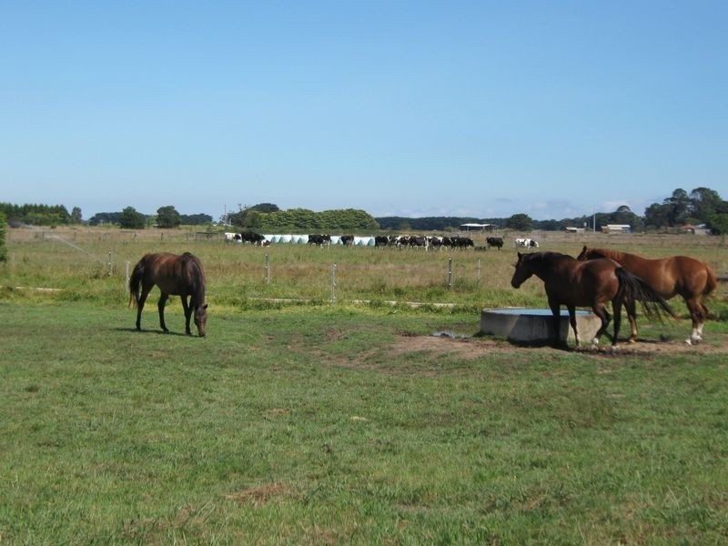 729B Maffra Sale Road, Bundalaguah VIC 3851
