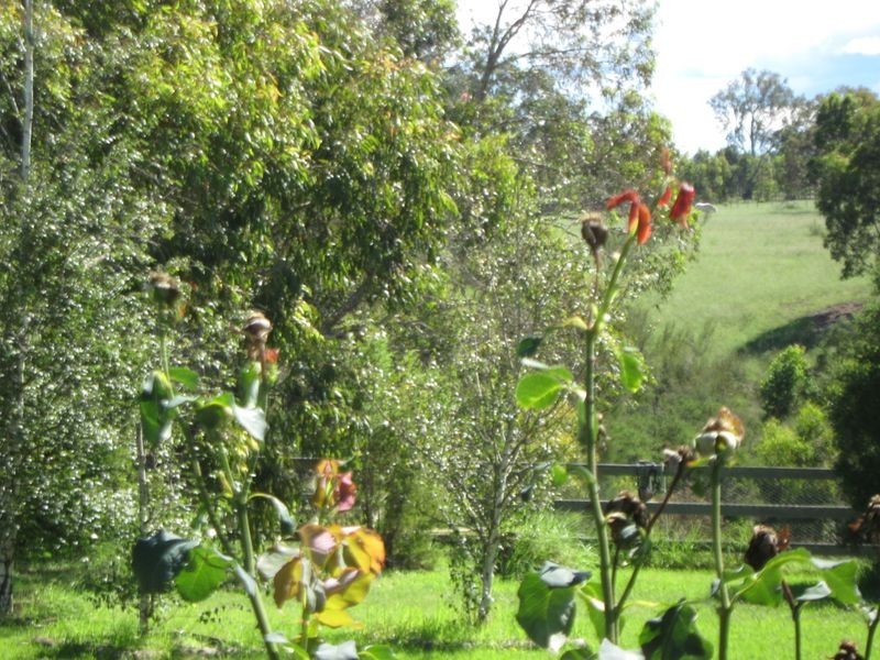 23 Heath Road, Stratford VIC 3862