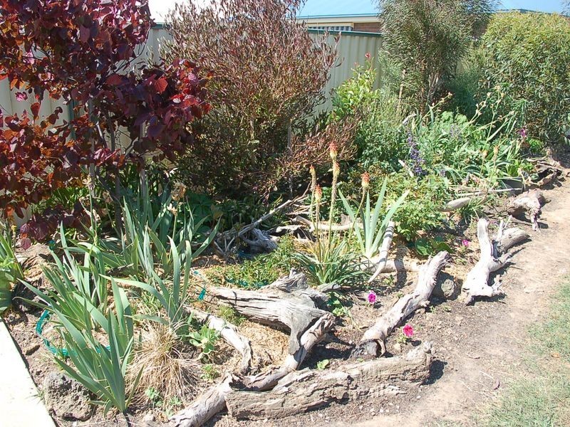 29 Buckley Street, Stratford VIC 3862