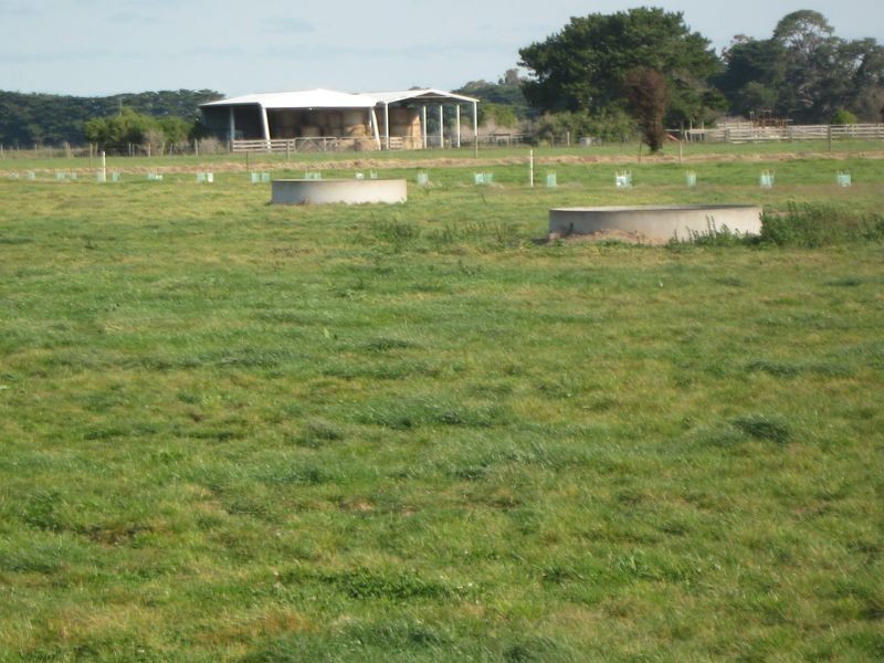 31 Kynes Road, Bundalaguah VIC 3851