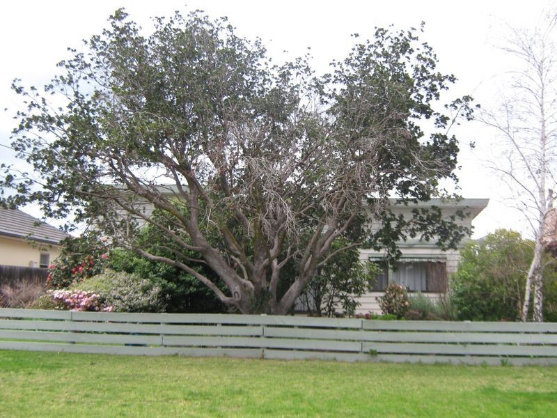 43 Darling Street, Sale VIC 3850