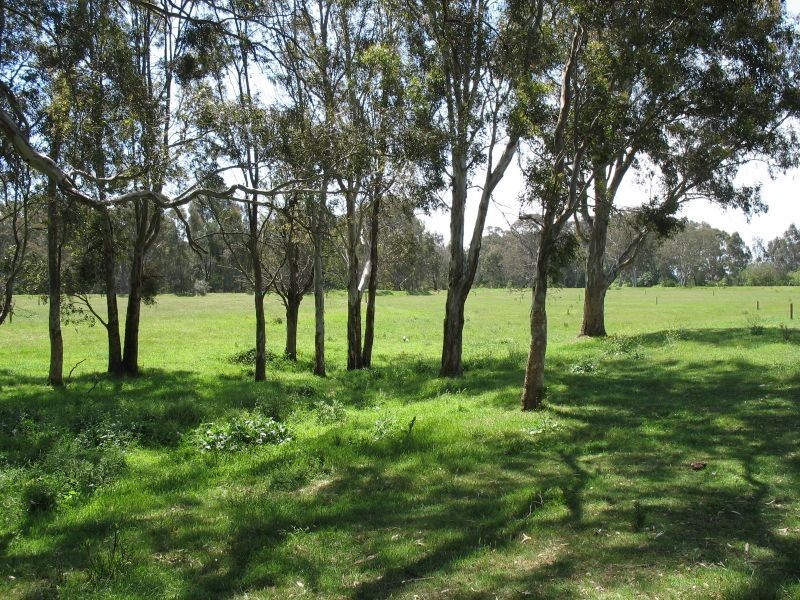 Riverview Road, Wurruk VIC 3850