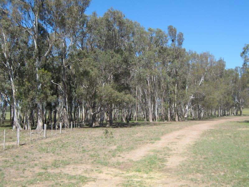 Lot 2 Dermody Road, Stratford VIC 3862
