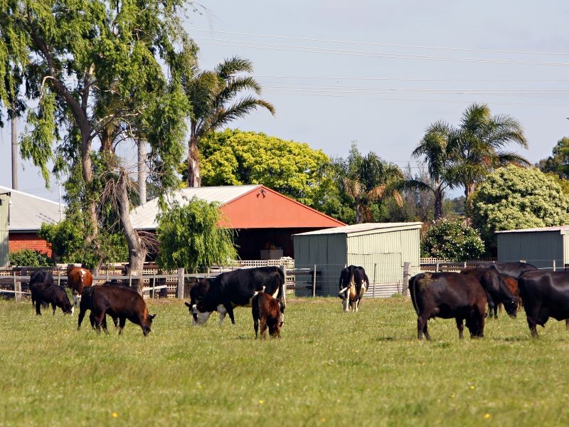 303 Somerton Park Road, Sale VIC 3850