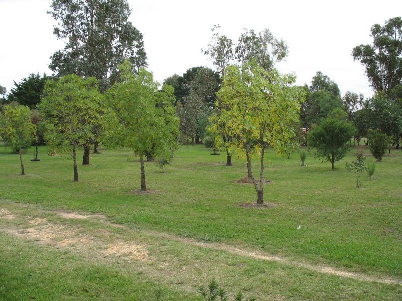 52 Slavins Lane, Stratford VIC 3862