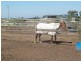 339 Hagans Rd, Airly VIC 3851