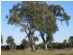 Redbank Road- Killeen St Subdivision, Stratford VIC 3862