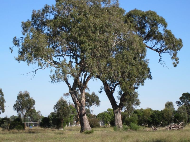 Redbank Road- Killeen St Subdivision, Stratford VIC 3862