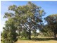 Redbank Road- Killeen St Subdivision, Stratford VIC 3862
