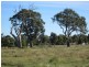 Redbank Road- Killeen St Subdivision, Stratford VIC 3862