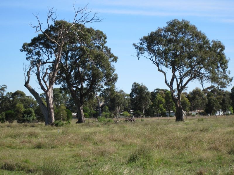 Redbank Road- Killeen St Subdivision, Stratford VIC 3862