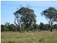 Redbank Road- Killeen St Subdivision, Stratford VIC 3862