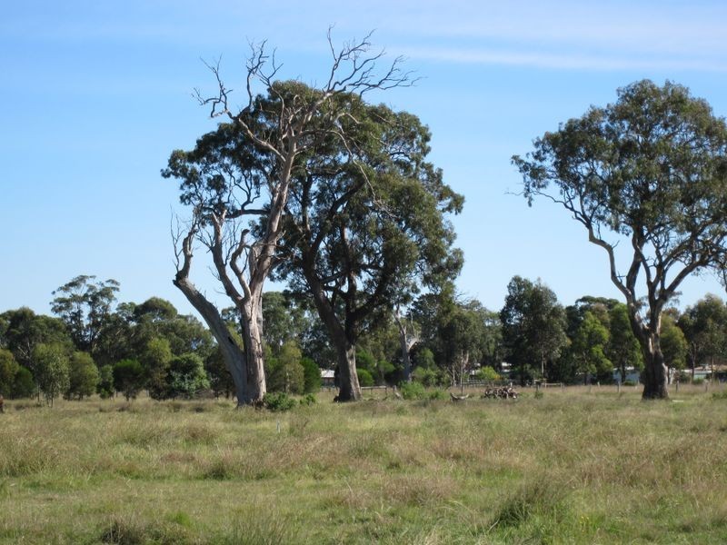 Redbank Road- Killeen St Subdivision, Stratford VIC 3862