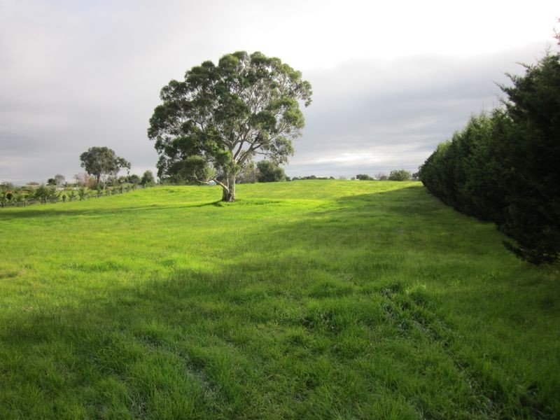 59 Wyndham St, Stratford VIC 3862