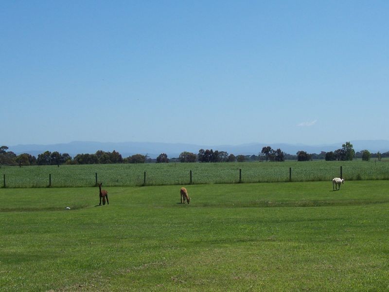 1142 Sale-Heyfield Road, Denison VIC 3858