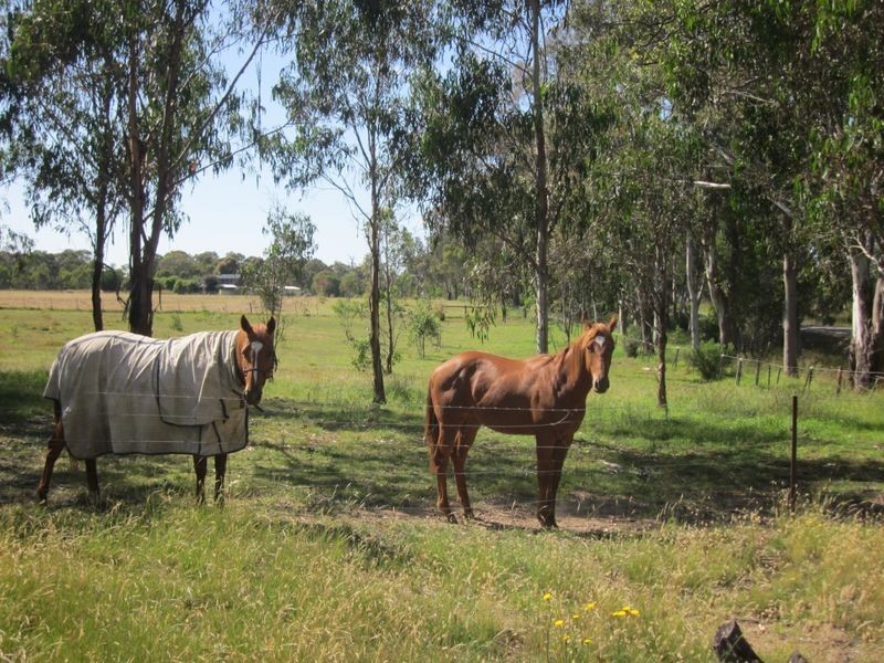 414 Briagolong Road, Stratford VIC 3862