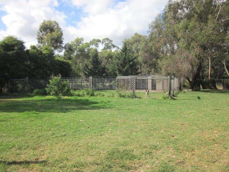 31 Boggy Creek Road, Longford VIC 3851