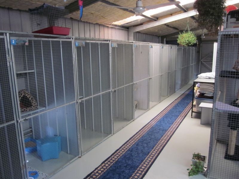 31 Boggy Creek Road, Longford VIC 3851