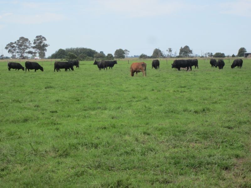 65 Yuill Road, Bundalaguah VIC 3851