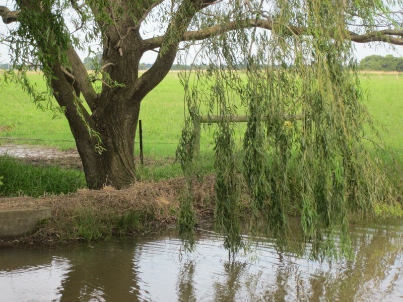 65 Yuill Road, Bundalaguah VIC 3851