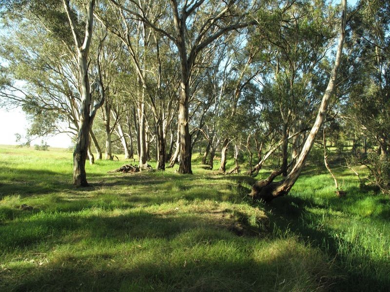 39 Sellings Lane, Maffra VIC 3860