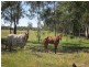 414 Briagolong Road, Stratford VIC 3862