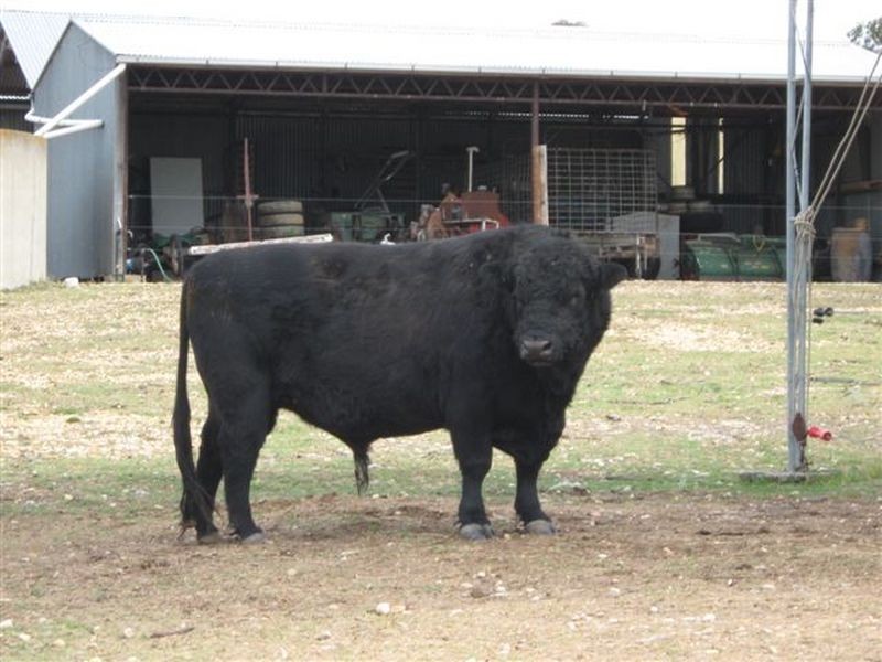 729 Longford – Loch Sport Road, Dutson VIC 3851