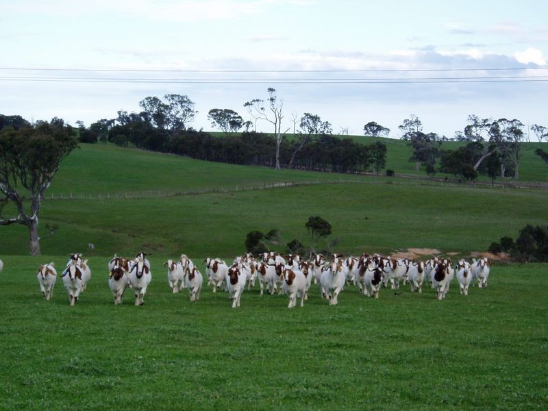 Lot 2 Balgonie Lane, Stratford VIC 3862