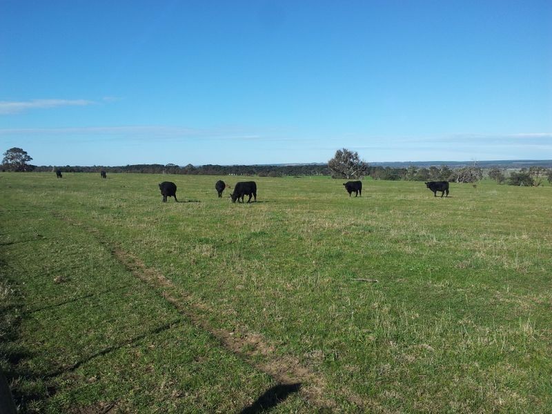 CA 19 Arnup Road, Wurruk VIC 3850