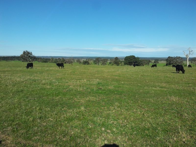 CA 19 Arnup Road, Wurruk VIC 3850