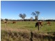 98-116 Hobson Street, Stratford VIC 3862