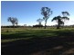98-116 Hobson Street, Stratford VIC 3862