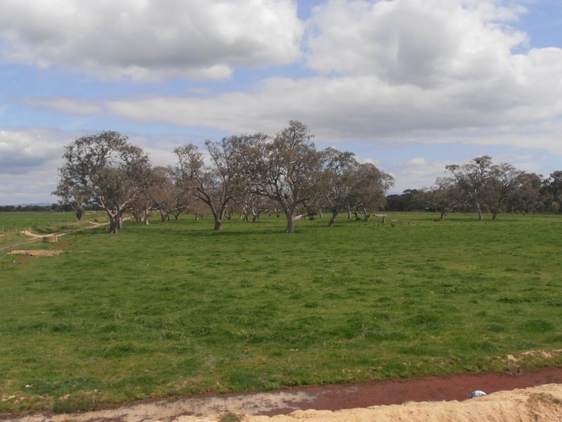 198 Nambrok Hall Road, Nambrok VIC 3847