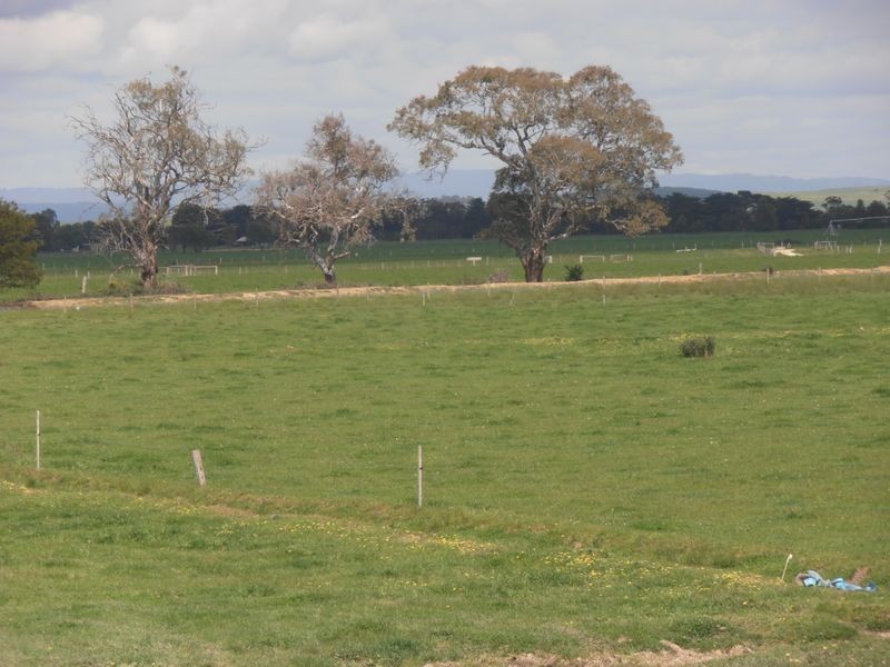 198 Nambrok Hall Road, Nambrok VIC 3847