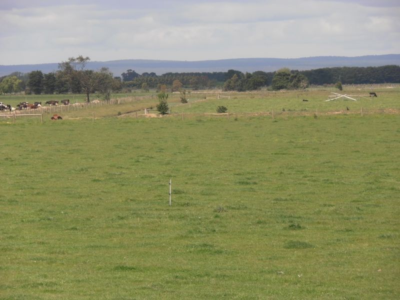 198 Nambrok Hall Road, Nambrok VIC 3847