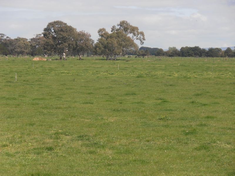 198 Nambrok Hall Road, Nambrok VIC 3847