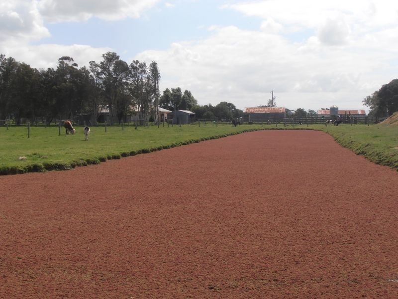 198 Nambrok Hall Road, Nambrok VIC 3847