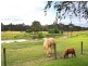 54 Riverview Road, Wurruk VIC 3850